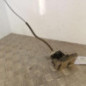 Serrure avant droit RENAULT CLIO 2