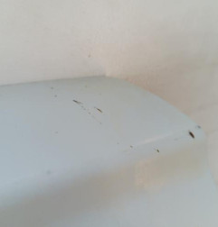 Porte de coffre gauche RENAULT KANGOO 1