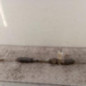 Cremaillere assistee HYUNDAI I 10 1