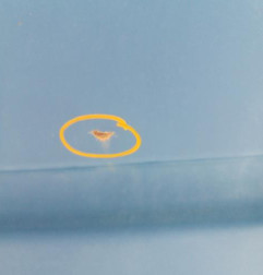 Porte laterale droit MERCEDES VITO 638 Photo n°3