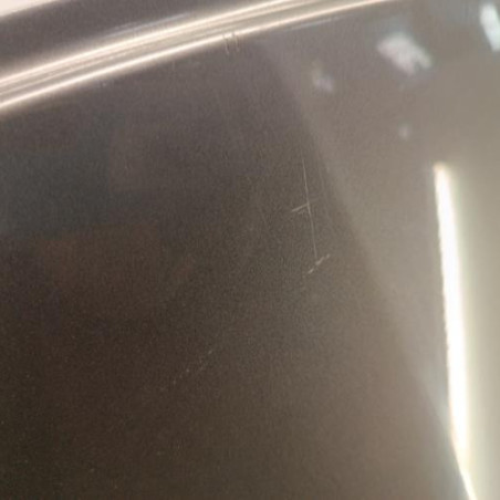 Porte arriere gauche RENAULT SCENIC 3