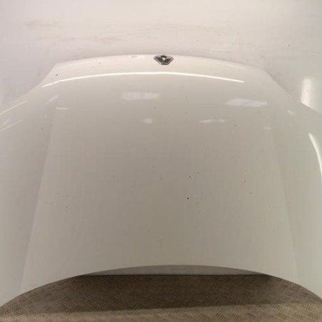 Capot RENAULT KANGOO 1 Photo n°1