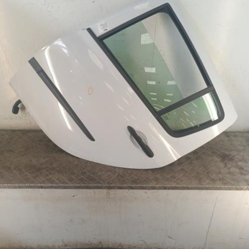Porte arriere gauche RENAULT CLIO 3