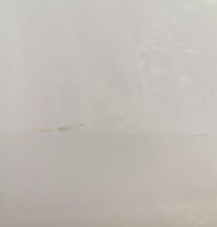 Porte avant droit RENAULT CLIO 3
