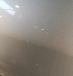 Porte avant droit CITROEN C5 2
