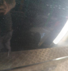 Porte avant gauche AUDI A3 2 Photo n°3