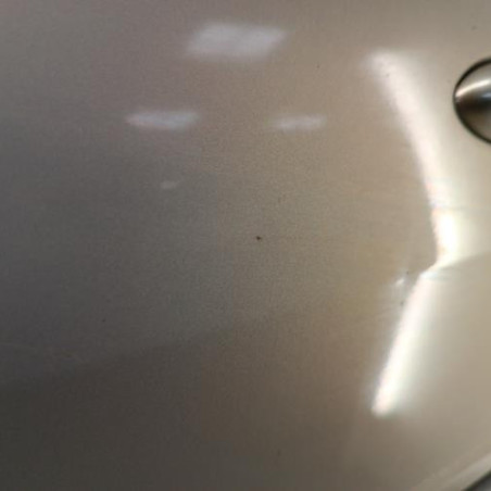 Porte avant gauche RENAULT MEGANE 2
