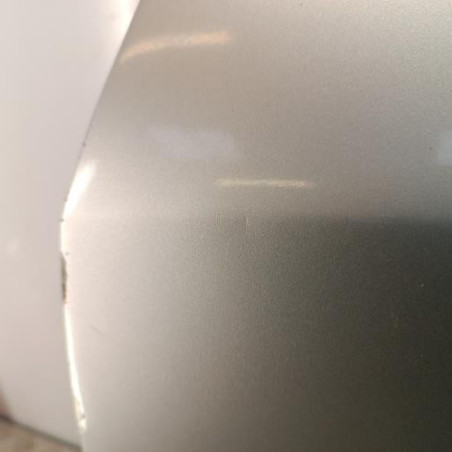 Porte arriere gauche HONDA CIVIC 8