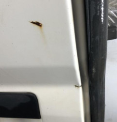Porte de coffre gauche FIAT DUCATO 3 Photo n°4