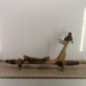 Cremaillere assistee CITROEN JUMPER 3