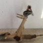Cremaillere assistee CITROEN JUMPER 3