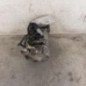 Compresseur clim CITROEN C4 1
