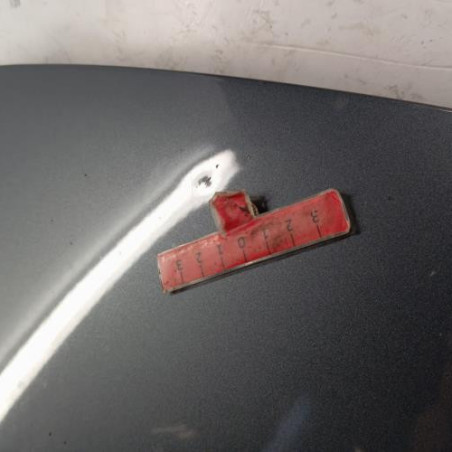 Capot CITROEN C3 PICASSO