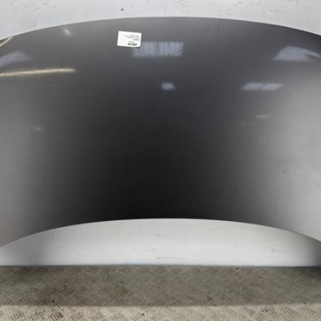 Capot RENAULT SCENIC 3 Photo n°1