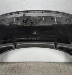 Capot RENAULT SCENIC 3 Photo n°3