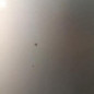 Capot RENAULT CLIO 2