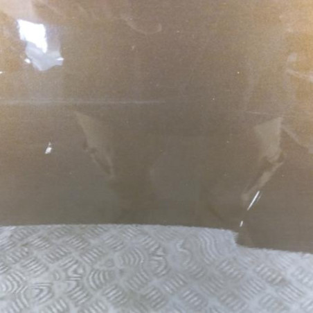 Porte arriere gauche BMW X1 E84