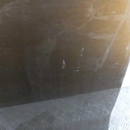 Porte avant gauche BMW X1 E84