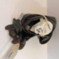 Ceinture avant droit PEUGEOT 5008 1