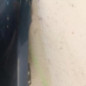 Aile avant droit OPEL CORSA D