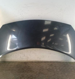 Capot RENAULT SCENIC 2 Photo n°1
