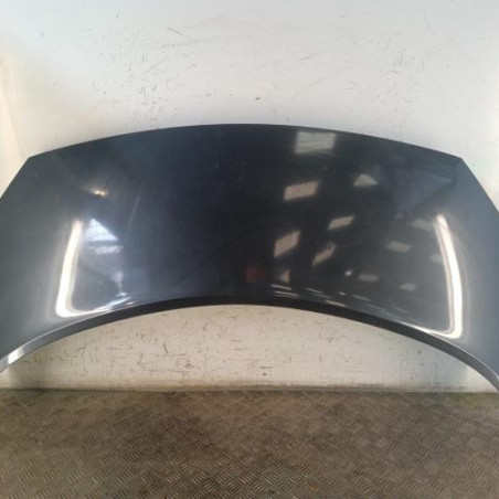 Capot RENAULT SCENIC 2 Photo n°1