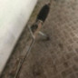 Cremaillere assistee CITROEN C5 2