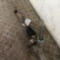 Cremaillere assistee TOYOTA VERSO
