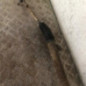 Cremaillere assistee OPEL CORSA C