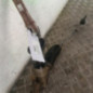 Cremaillere assistee VOLKSWAGEN POLO 5