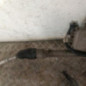 Cremaillere assistee PEUGEOT 207