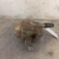 Vase d'expansion OPEL CORSA D