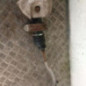 Cremaillere assistee FIAT DUCATO 3