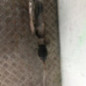 Cremaillere assistee FIAT DUCATO 3