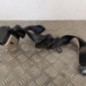 Ceinture arriere gauche PEUGEOT 208 1