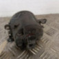 Anti brouillard droit (feux) RENAULT LAGUNA 2