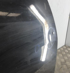 Porte arriere droit DACIA DUSTER 1 Photo n°4
