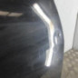 Porte arriere droit DACIA DUSTER 1