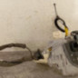 Serrure avant gauche AUDI A5 1