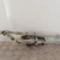 Moteur essuie glace avant RENAULT MEGANE 4