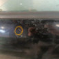 Porte avant gauche OPEL ASTRA G