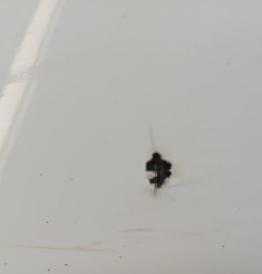 Pare choc arriere PEUGEOT 308 2 Photo n°5