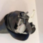 Ceinture arriere droit PEUGEOT 308 2 SW