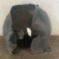Pare boue avant gauche CITROEN C4 1
