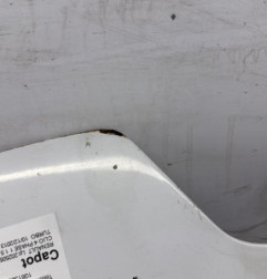 Capot RENAULT CLIO 4