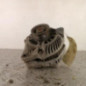 Alternateur SUZUKI SWIFT 4