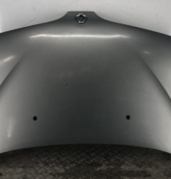 Capot RENAULT SCENIC 1 Photo n°1