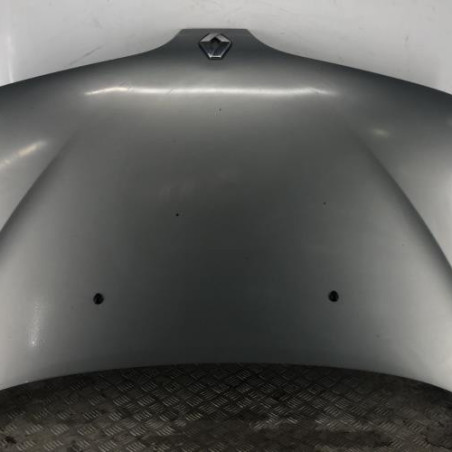 Capot RENAULT SCENIC 1 Photo n°1