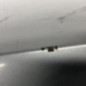 Capot RENAULT SCENIC 1