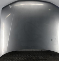 Capot PEUGEOT 406 Photo n°1